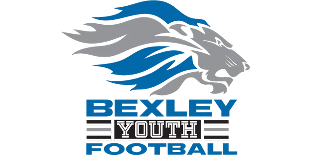 Bexley Youth Football — opens their site in a new tab